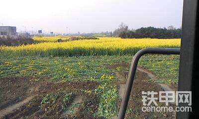 還要在上面撒層土