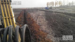 我的老牛干活真累啊