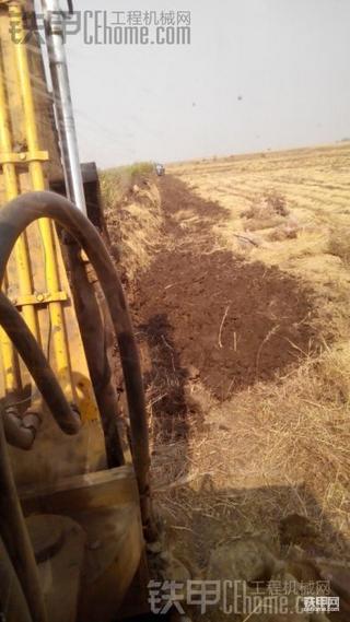 我的老牛干活真累啊