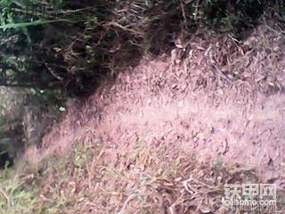 农村山寨版拖拉机打鸟    内附      好货   本人图