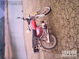 今天抓鸟 嘿嘿  中午煮老鼠干和鸟干