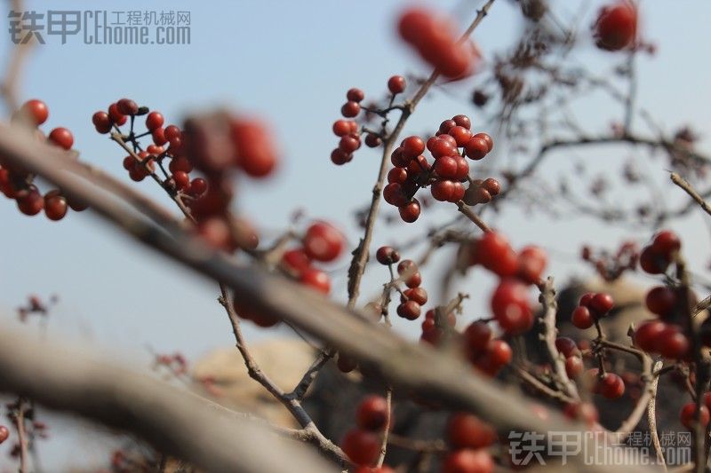 秋季登山活動(dòng)。。。