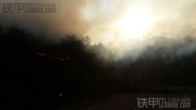 干活干着干着后面的山着火了