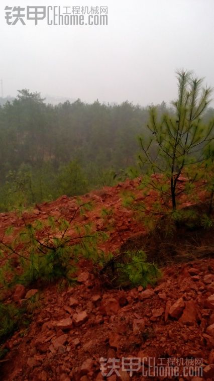 第一次出來單干，下雨也上班！第一次打果帶，開柳工60