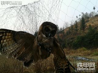 KYB27E这种小挖掘机的液压泵修了又坏。坏了又修。别的不坏就坏摇摆和轴瓦。。