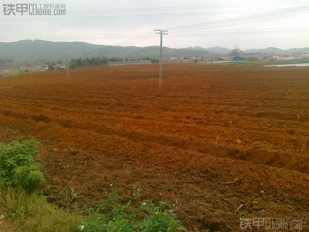 挖掘机在葡萄园挖沟、松土、种葡萄