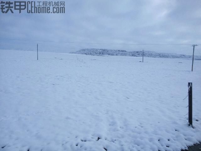 在高溫中煎熬的人們，歡迎各位來青海賞雪避暑!