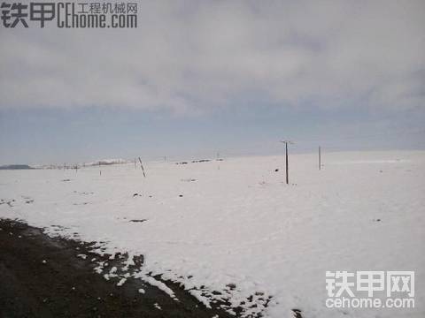 在高溫中煎熬的人們，歡迎各位來青海賞雪避暑!