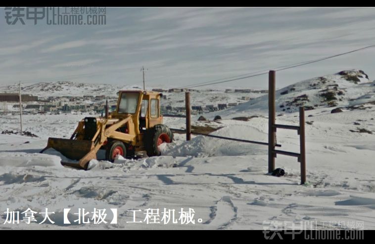 【北極】冰天雪地的問候。給大家降溫。