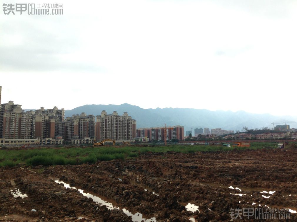 今天下雨前和雨后