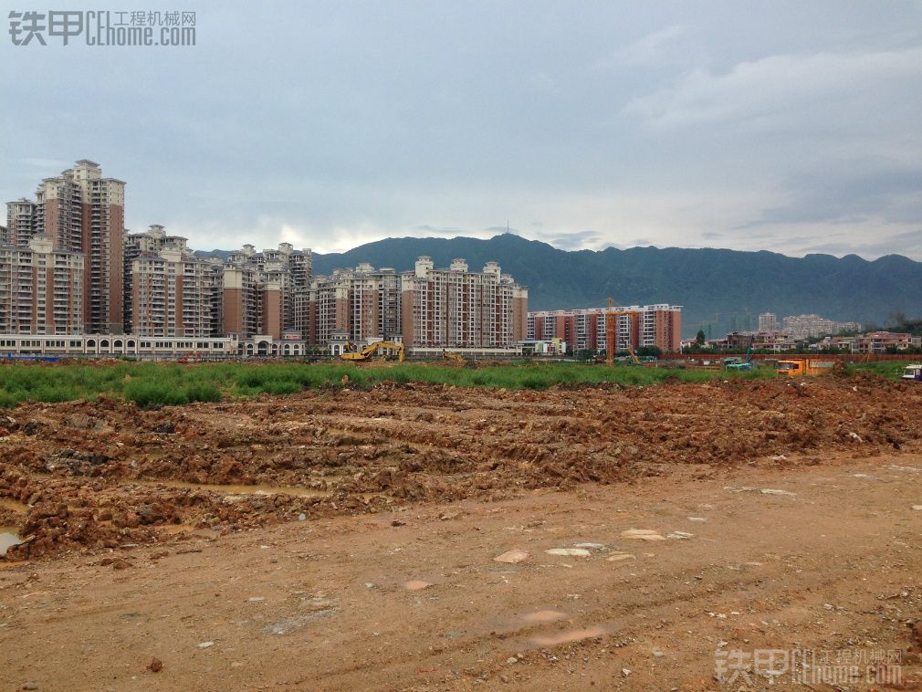 今天下雨前和雨后