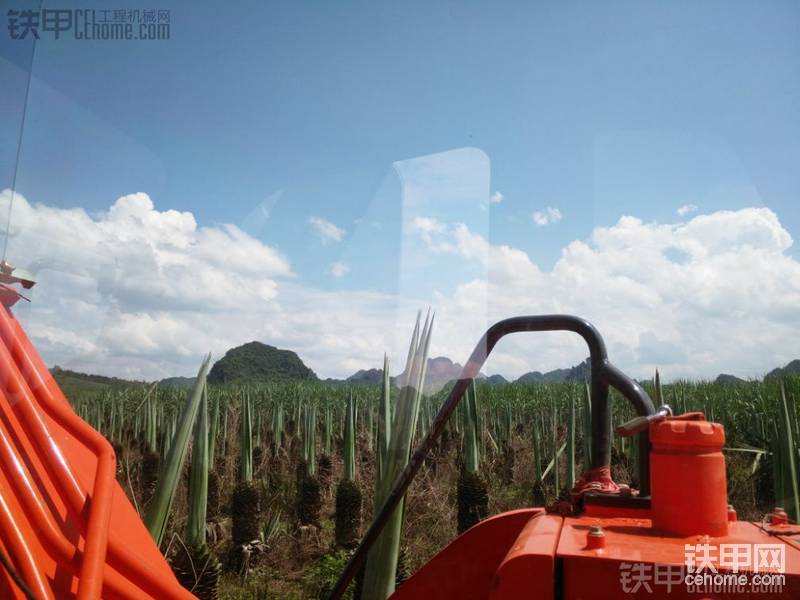 好熱,還好我空調(diào)夠涼快哦