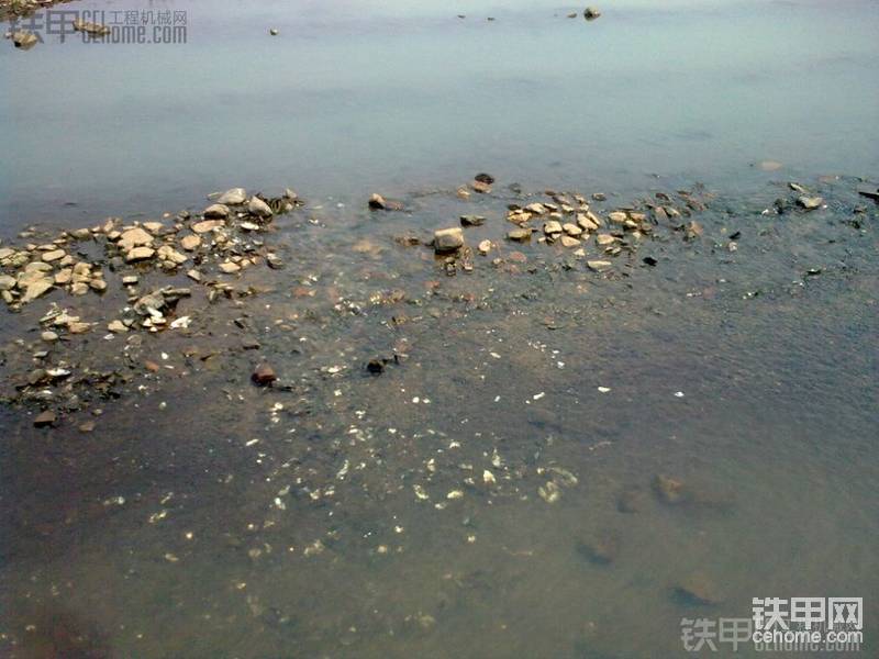 小龙虾河蟹就是这下面的小石头底下逮到的……