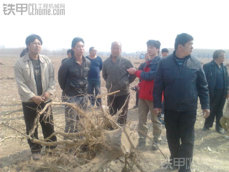 马师傅的树根挖掘器 真正的挖树根神器