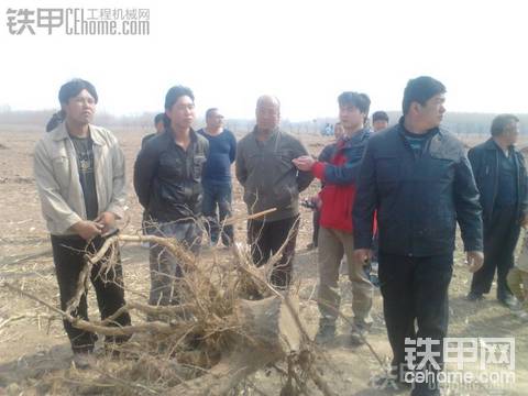 馬師傅的發(fā)明專利樹根挖掘器，真正的挖樹根神器，1553279535