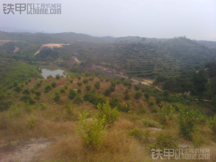 《百畝荒山挖果帶》