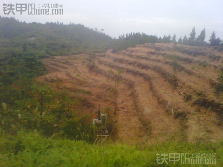 《百亩荒山挖果带》