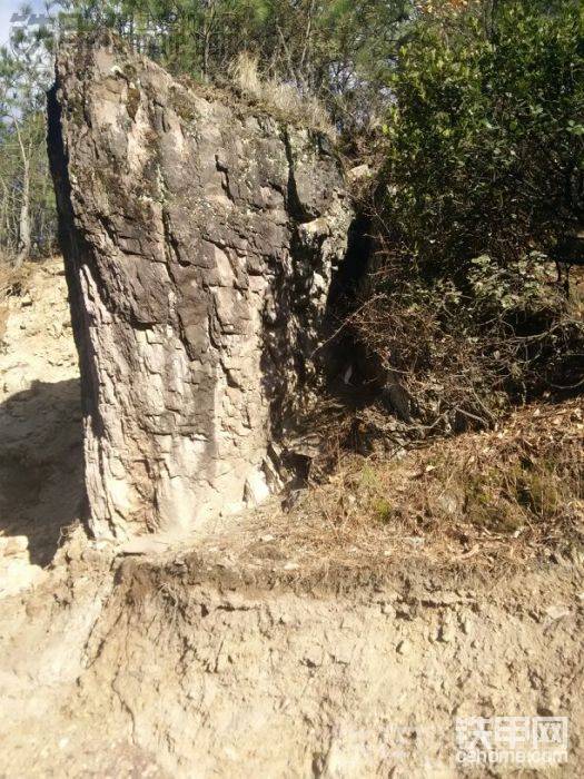 石頭另一面。
