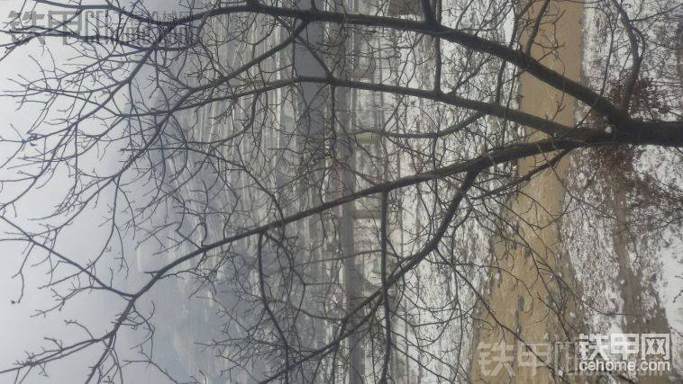 就是這棵樹救了司機(jī)，他老婆受了輕傷，在下面是渭河。
