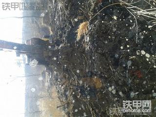 满满都是幸福