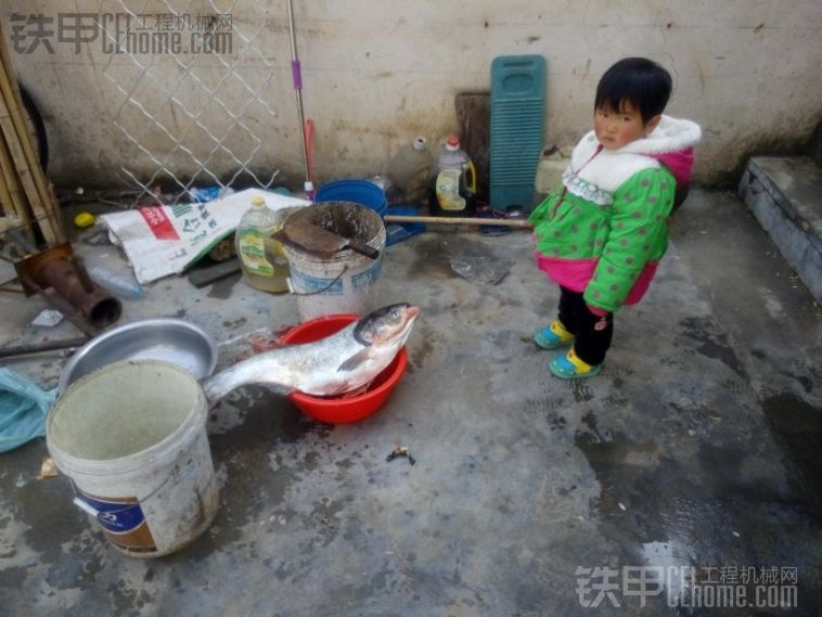 過年了，寶貝閨女和魚