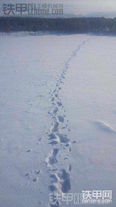 上山的脚印，我留下的，雪有半米多厚，走一步陷一步，走到山顶&#2