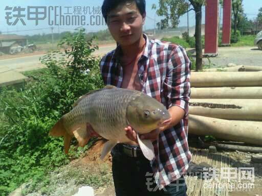 長(zhǎng)江鯉魚，海桿打的！
