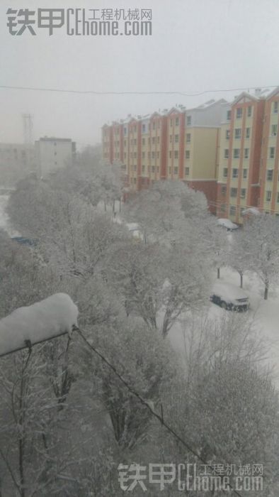 新疆进入冬天了