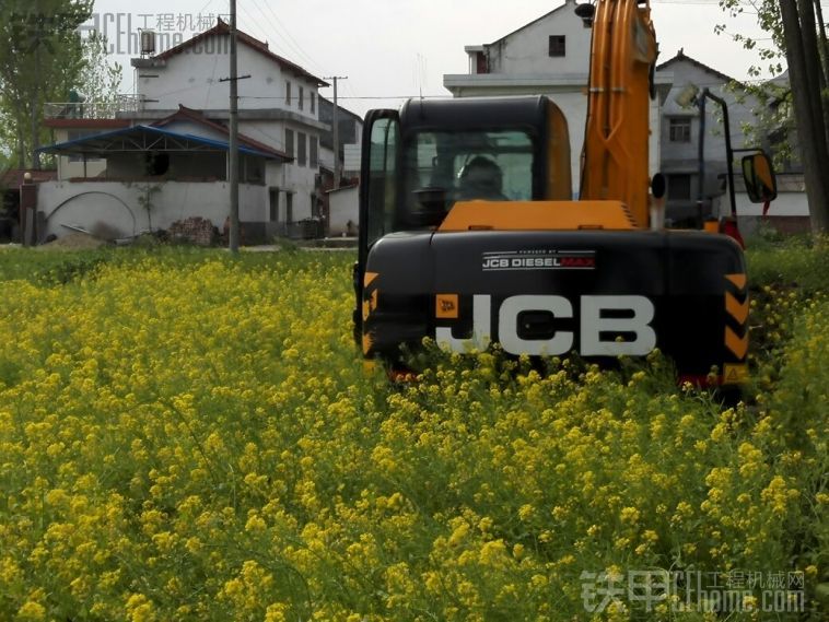 油菜花海里的挖掘机 自然和谐有美感