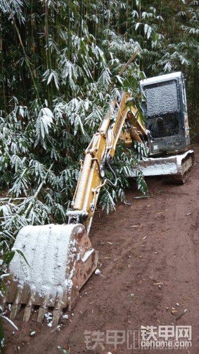 去年年底下雪
