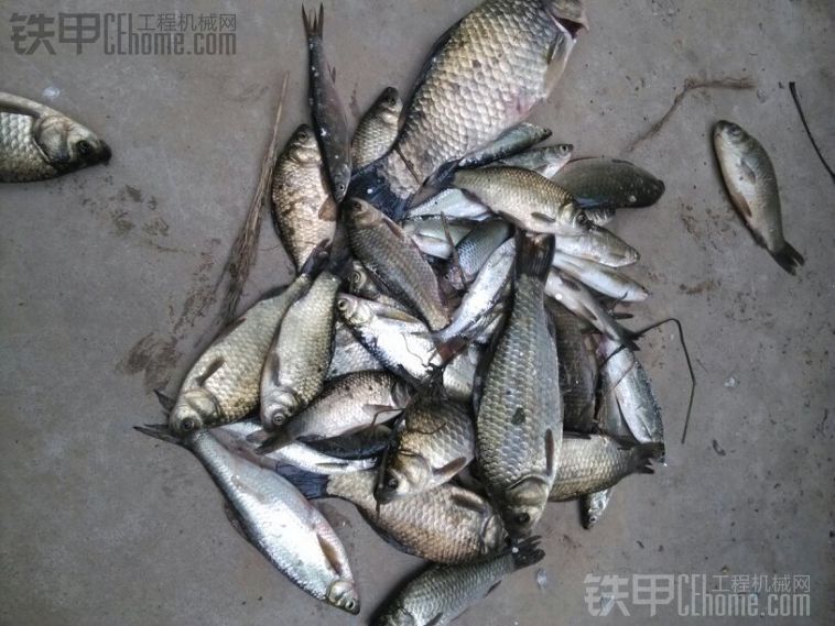 釣魚…不喜勿噴