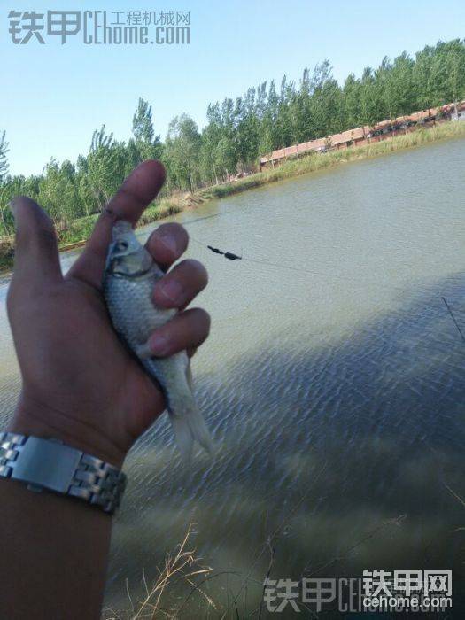 魚(yú)池釣釣小魚(yú)玩。
