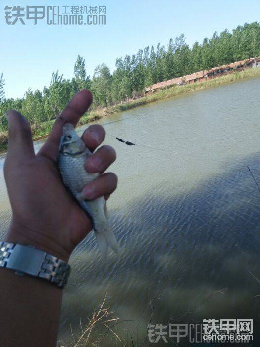 魚(yú)池釣釣小魚(yú)玩。
