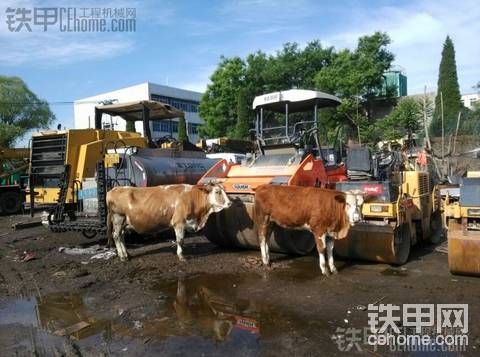 代理商們你們的山貓S550還有貨么？