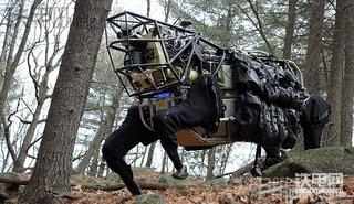 颤抖吧，【美女】亚麻得的有木有？