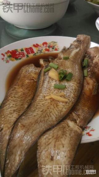 你们这个鱼怎么叫？？