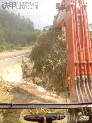 杂七杂八，我是新手～第一次发帖！