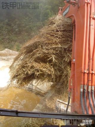 杂七杂八，我是新手～第一次发帖！