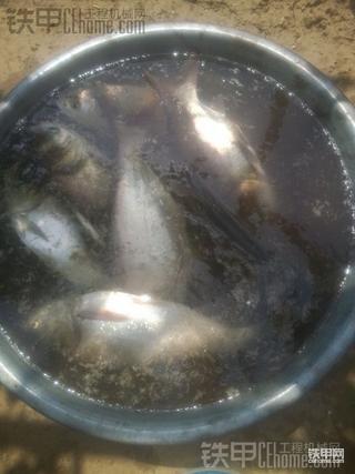 挖机晒铁。。抓鱼