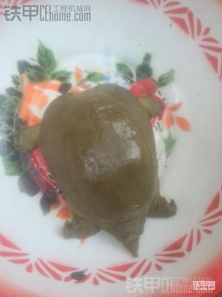 挖机晒铁。。抓鱼