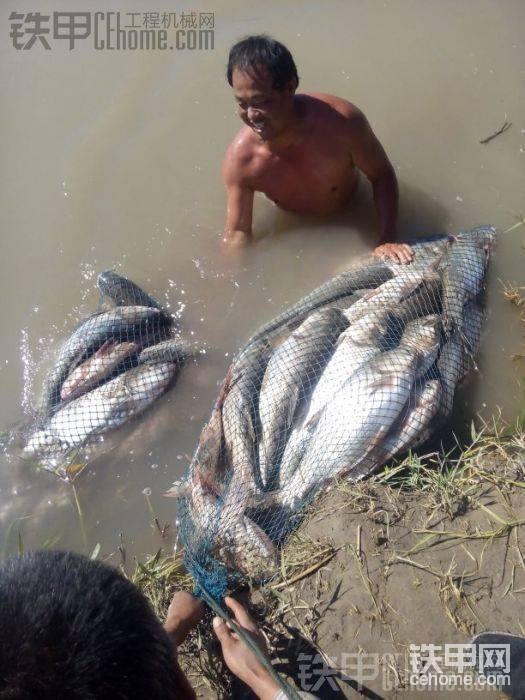 水庫(kù)的魚(yú)&nbsp; 產(chǎn)子&nbsp; 逆流而上&nbsp; 都跑了&nbsp; 
