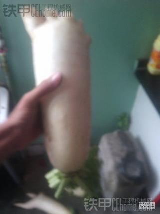 这东西吃了什么反应