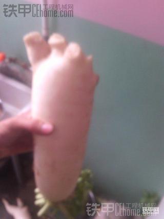 这东西吃了什么反应