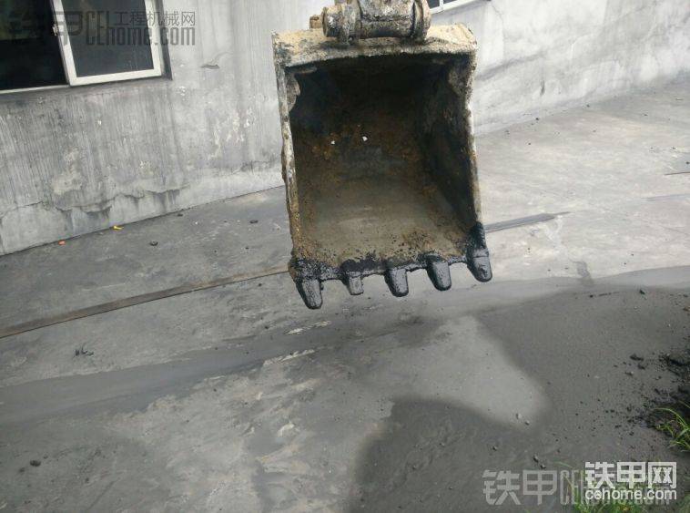 斗齒老是掉！
