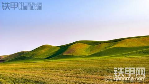 招聘挖机驾驶员