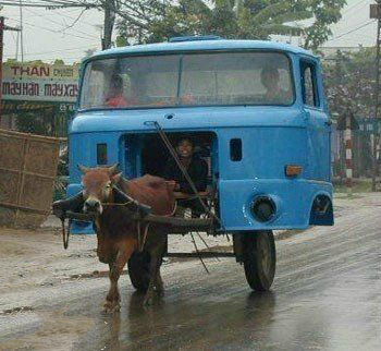 名副其實(shí)的“牛車”！