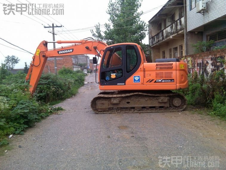 雞雞雖小 卻不失霸氣