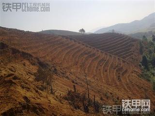 挖茶山技巧补充版，大家交流，将就看