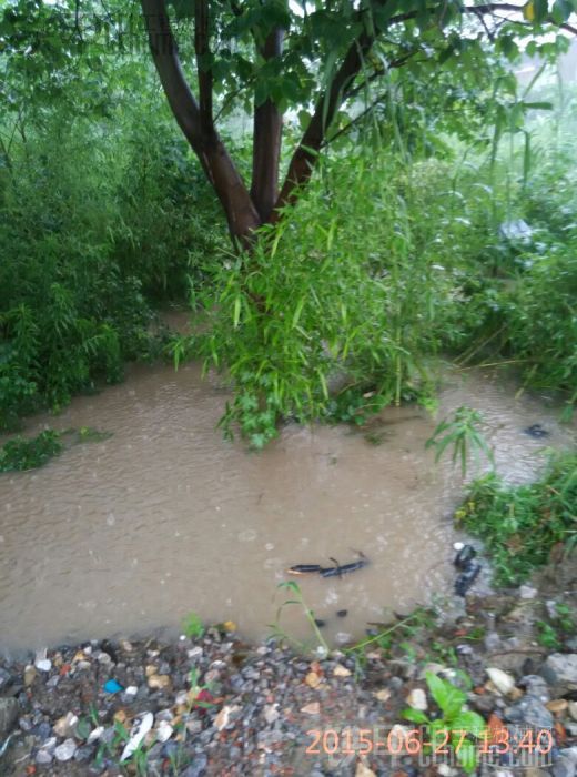 下雨又又休息了