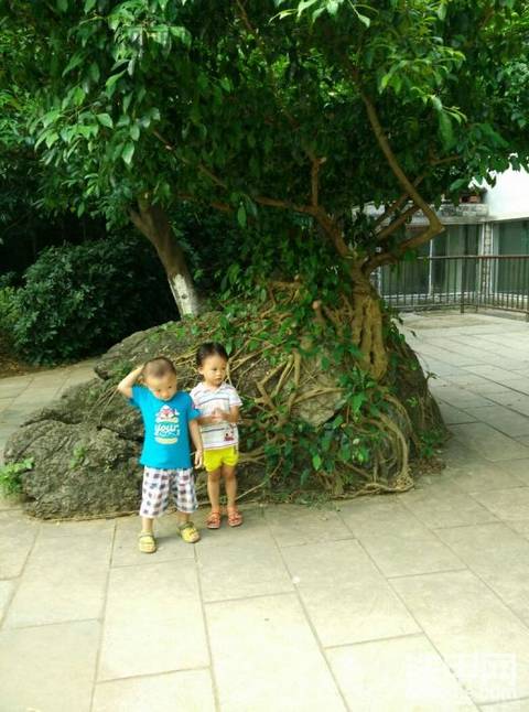 難得休息，兩個家庭逛動物園